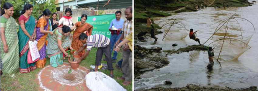 Sustainability & Ecological Balance