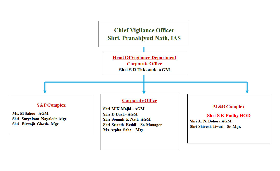 Organization-Chart-of-Vigilance-Department